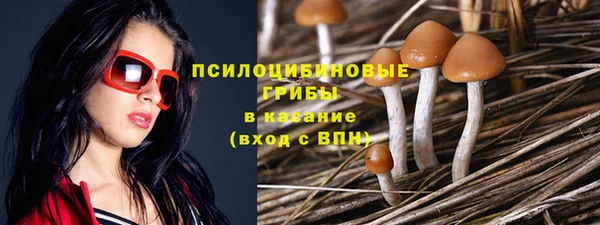 не бодяженный Белокуриха