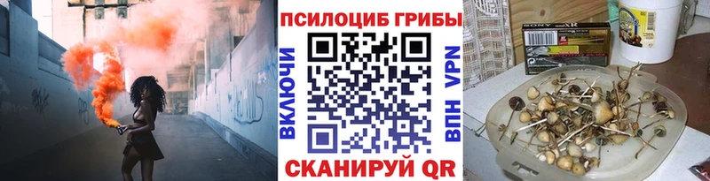 где найти   MEGA ССЫЛКА  Псилоцибиновые грибы мицелий  Луховицы 
